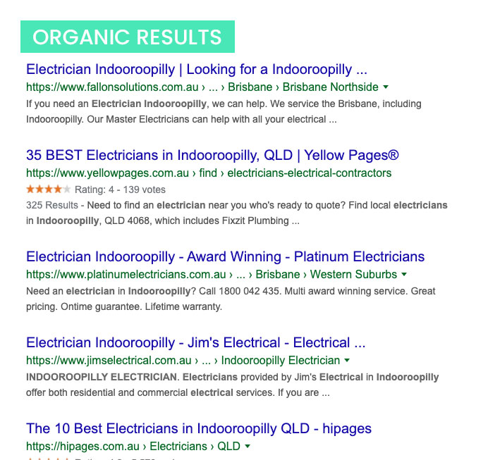 Organic Google search results example