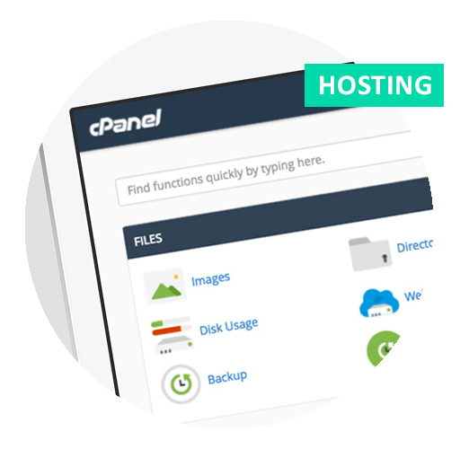 Web hosting and website support